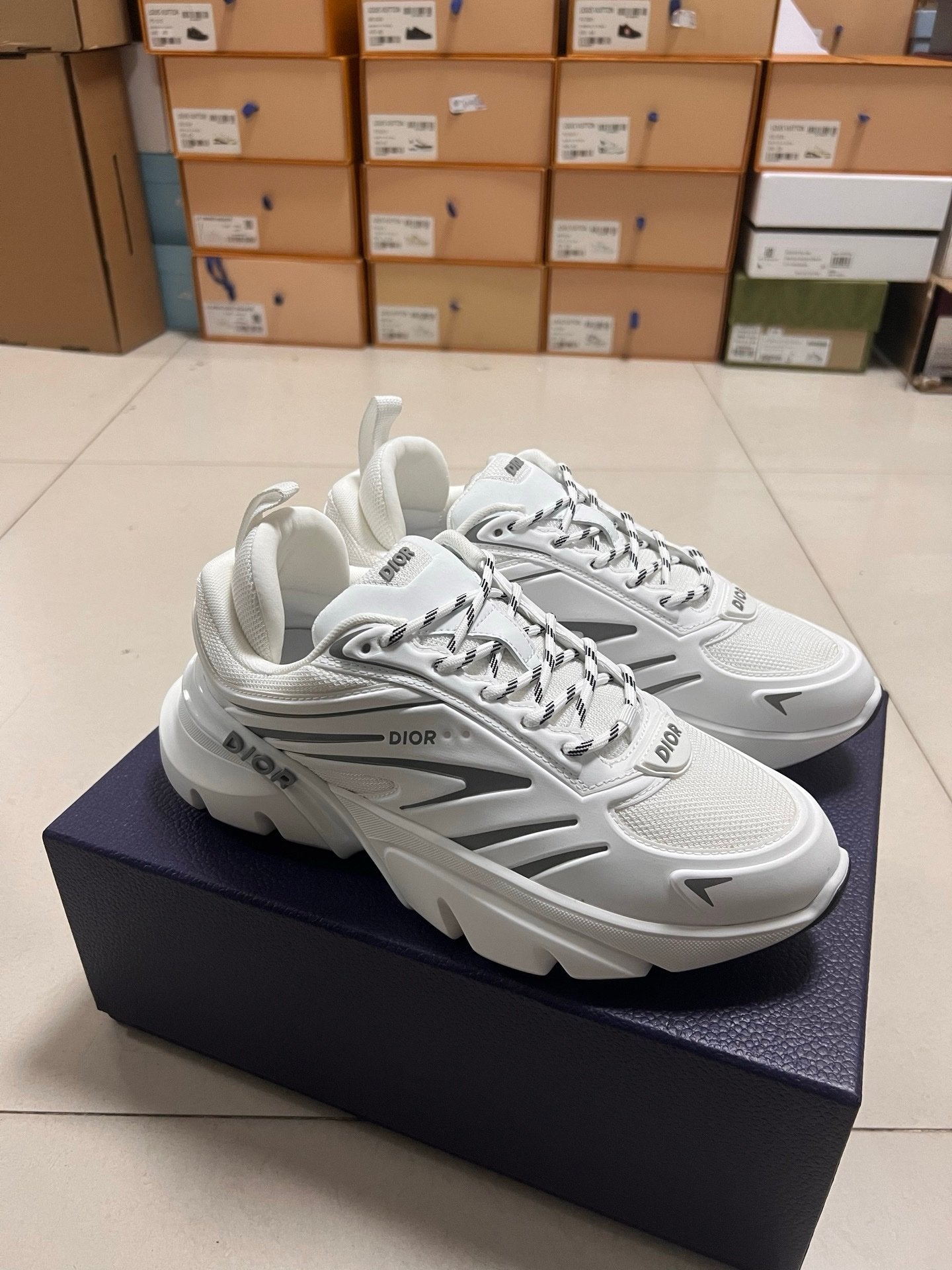 Dior B44 Blade White Grey
