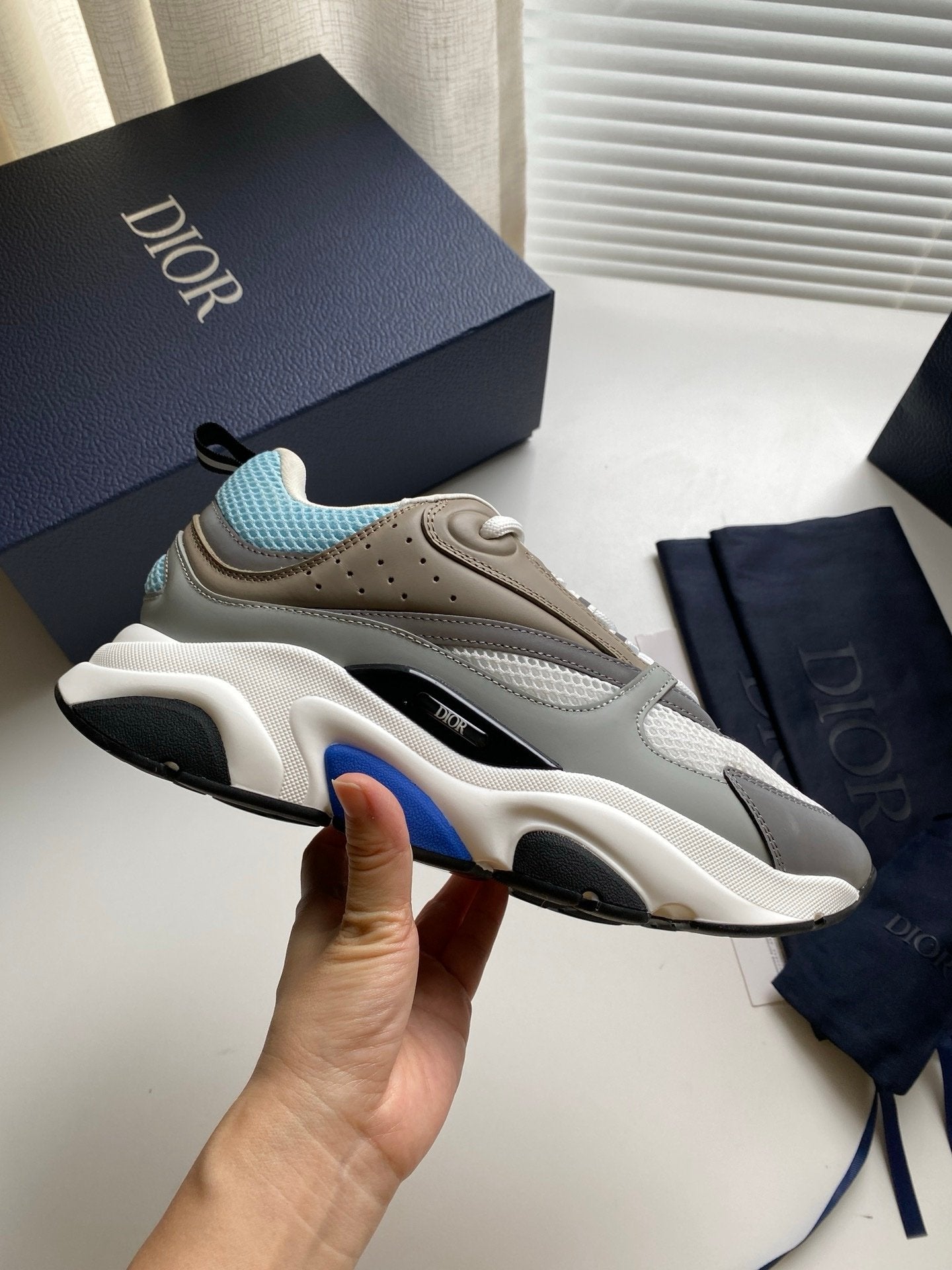Dior B22 Blue Grey White