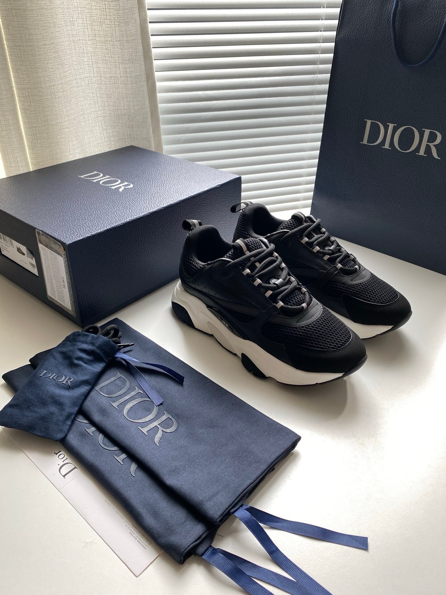 Dior B22 Black/White