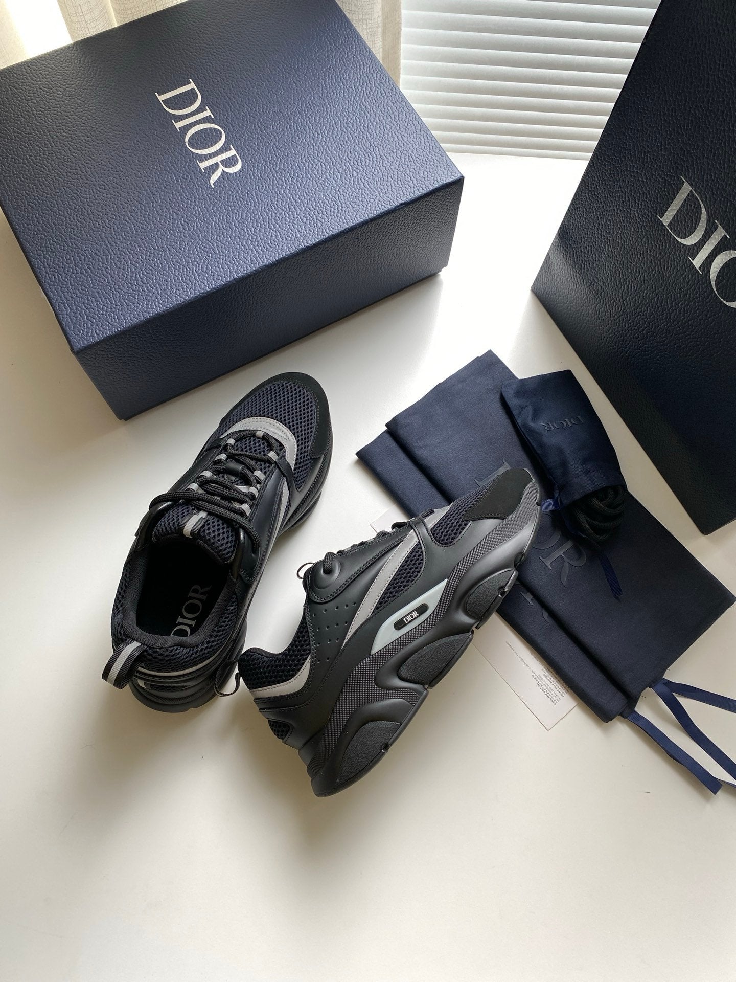 Dior B22 Black Silver