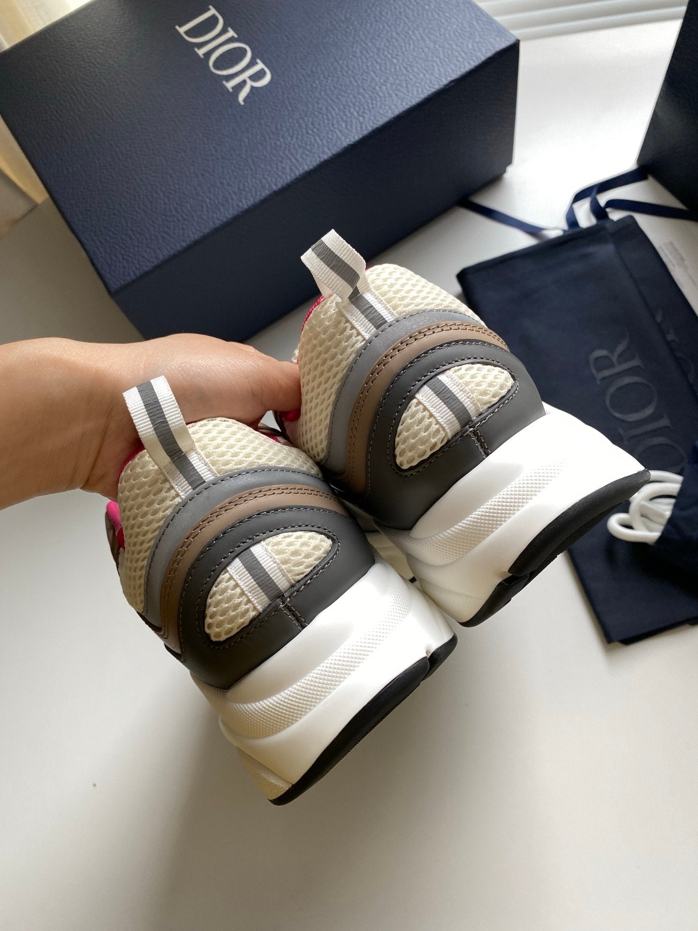 Dior B22 Beige Dark Grey