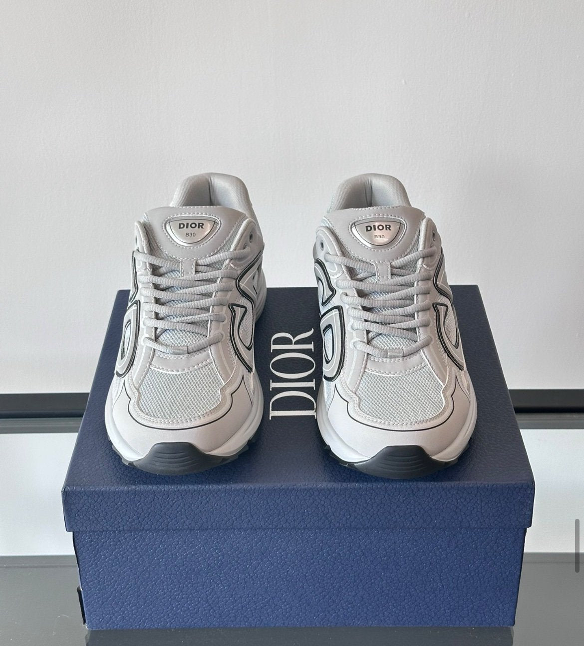 Dior B30 Reflective Grey