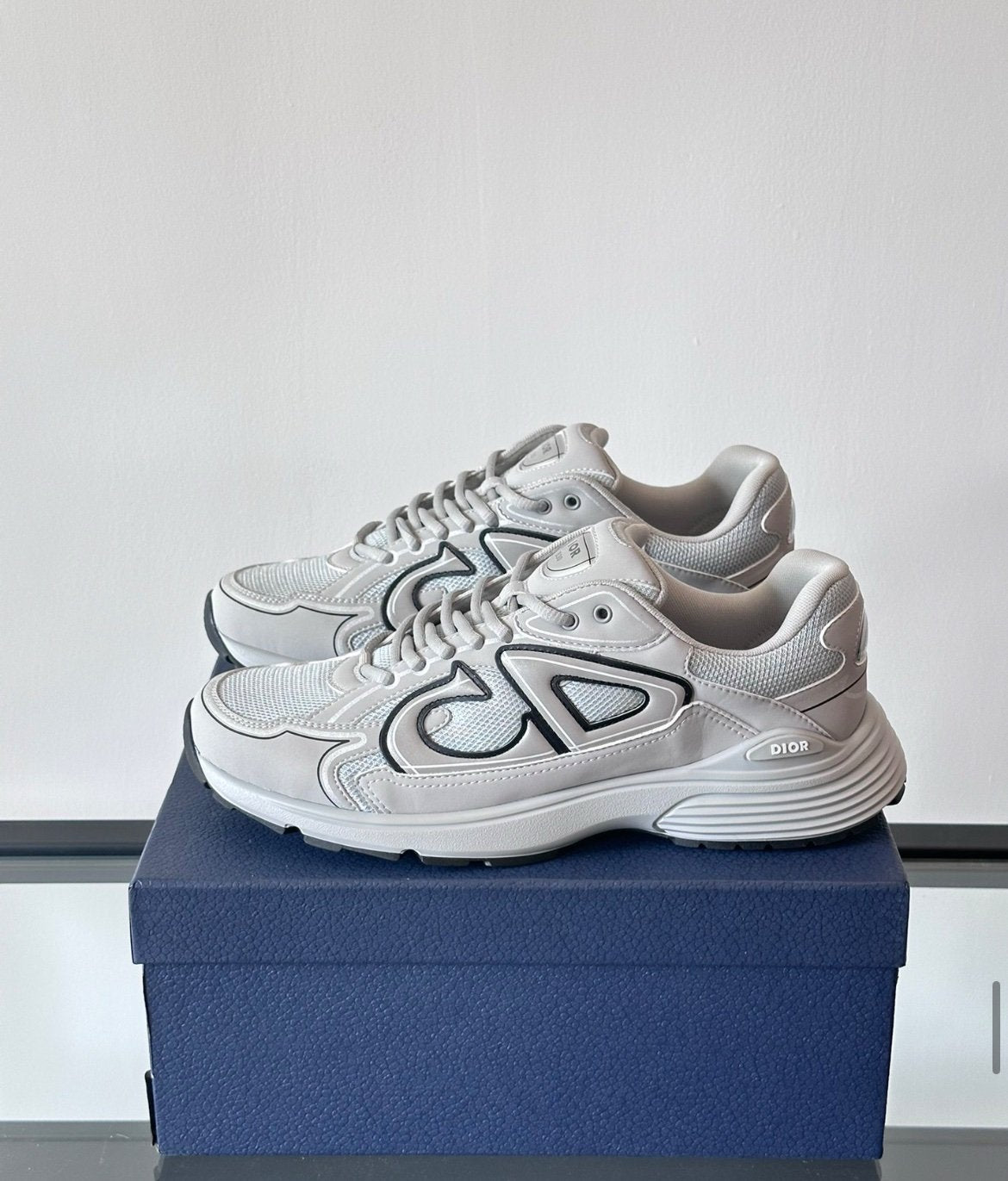 Dior B30 Reflective Grey