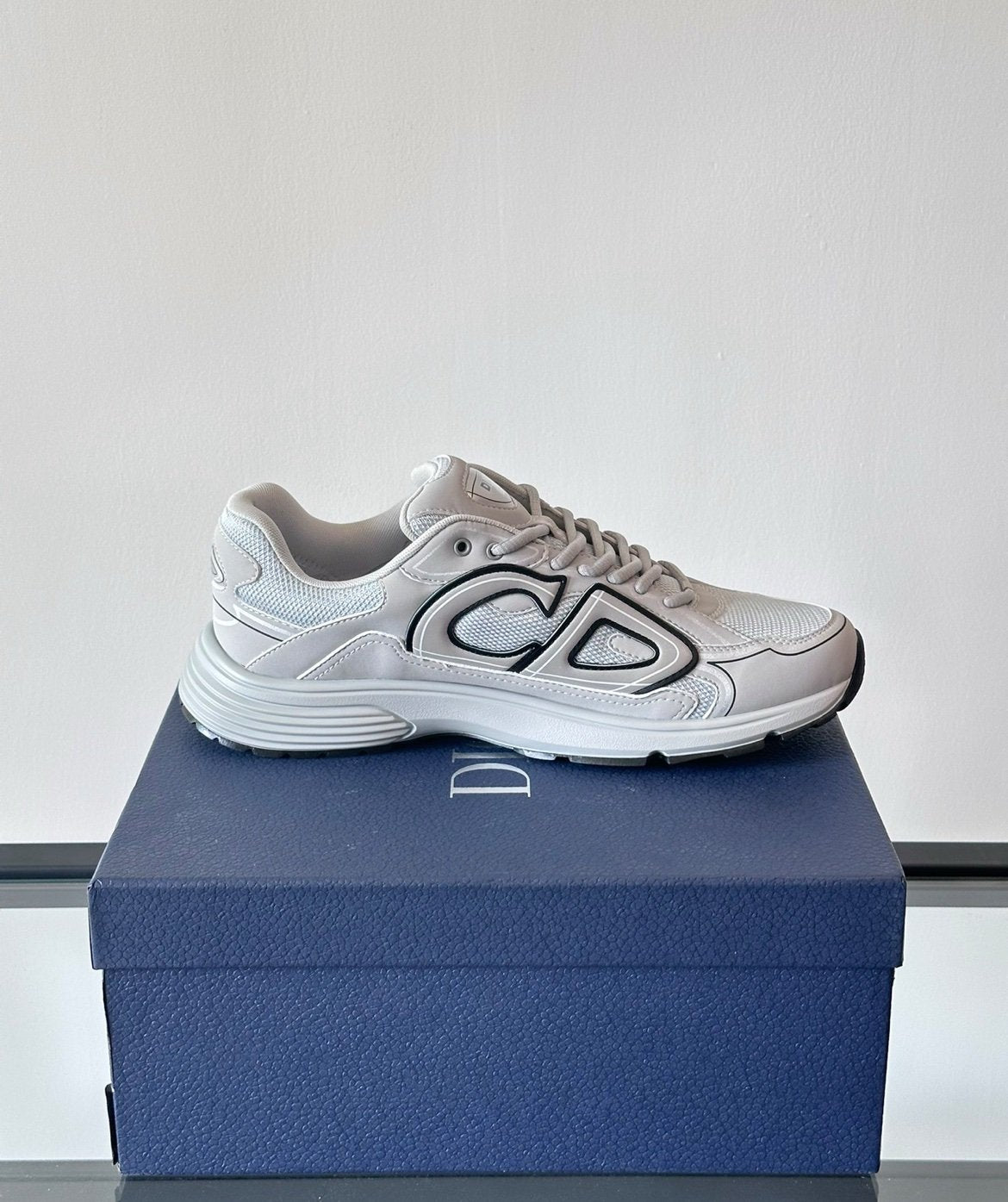 Dior B30 Reflective Grey