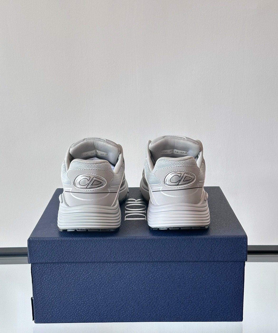 Dior B30 Reflective Grey