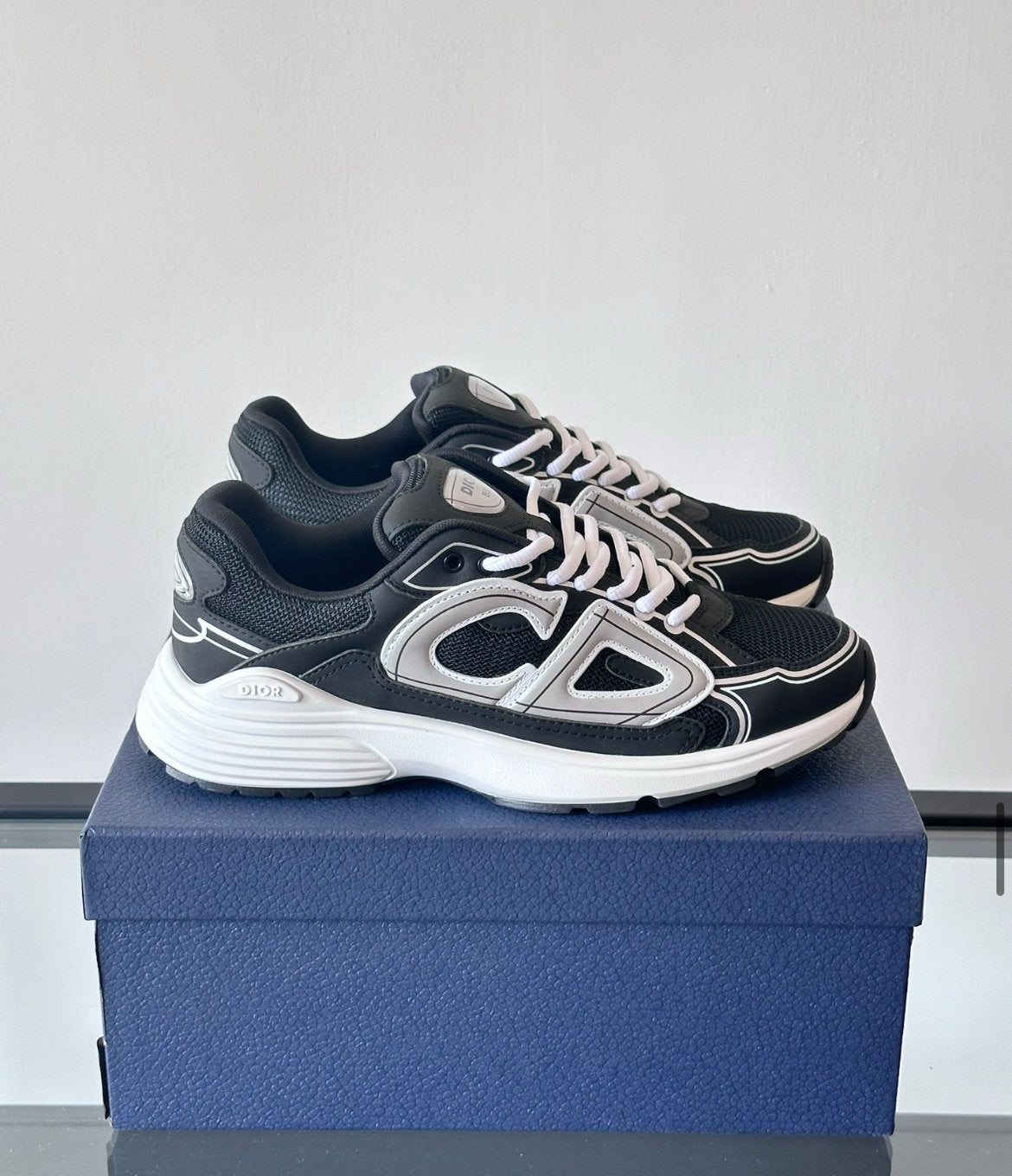 Dior B30 Reflective Black White