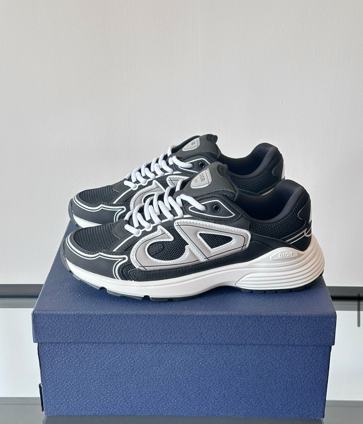 Dior B30 Reflective Black White