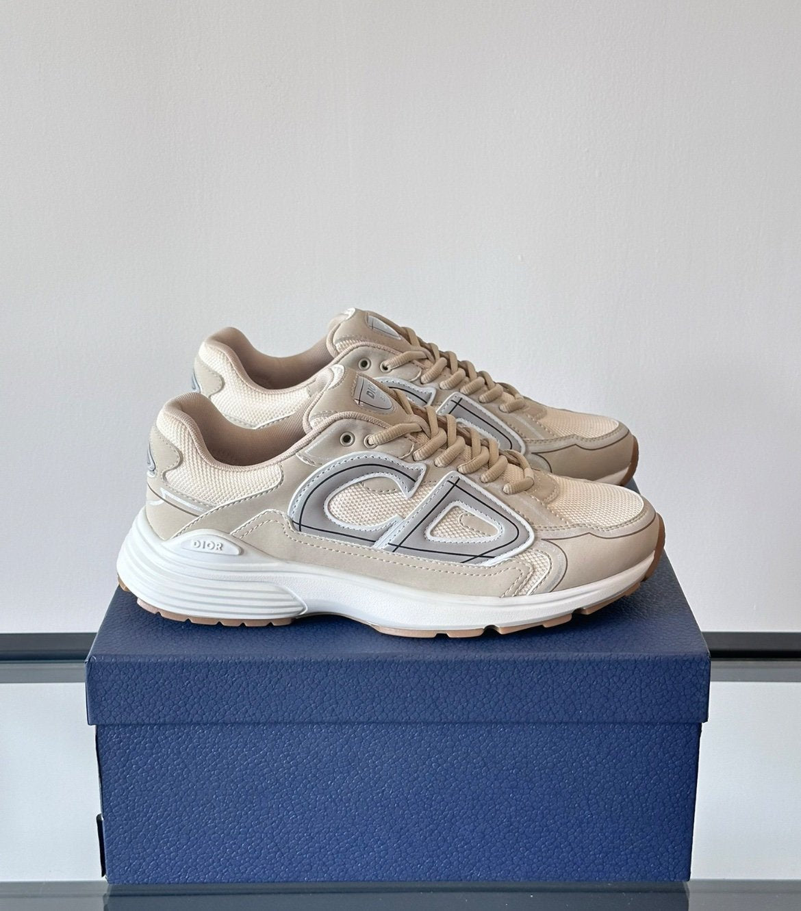 Dior B30 Reflective Beige White