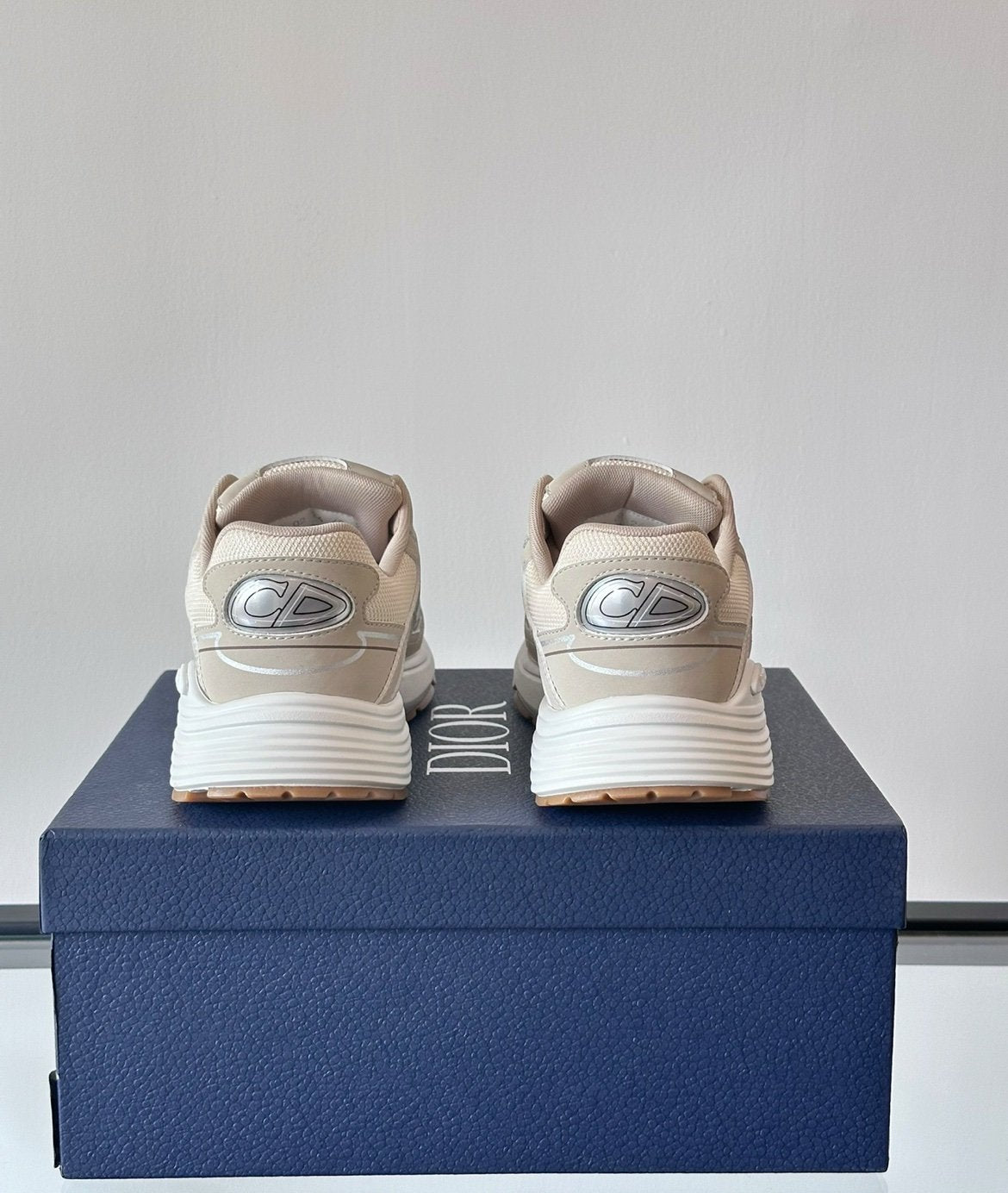Dior B30 Reflective Beige White