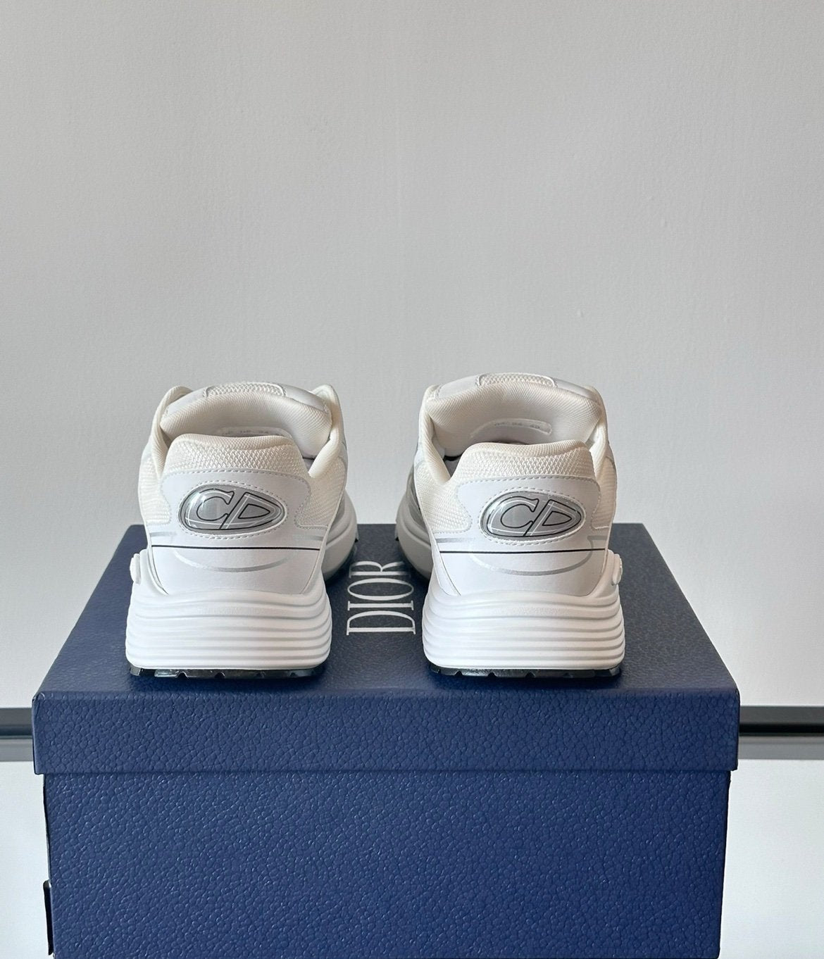 Dior B30 Reflective White