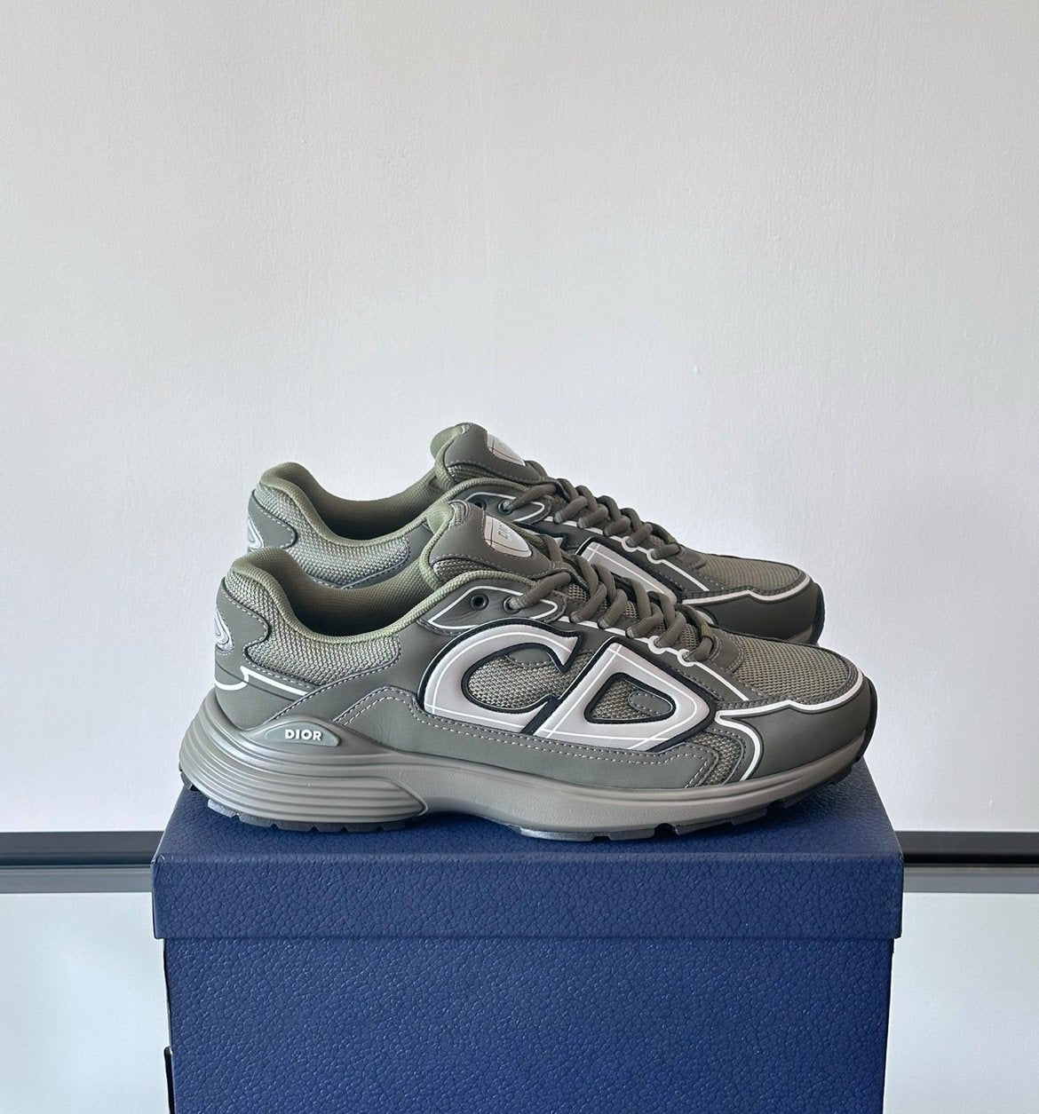 Dior B30 Reflective Olive Green