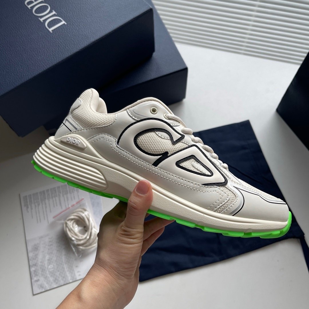 Dior B30 Reflective Beige Green