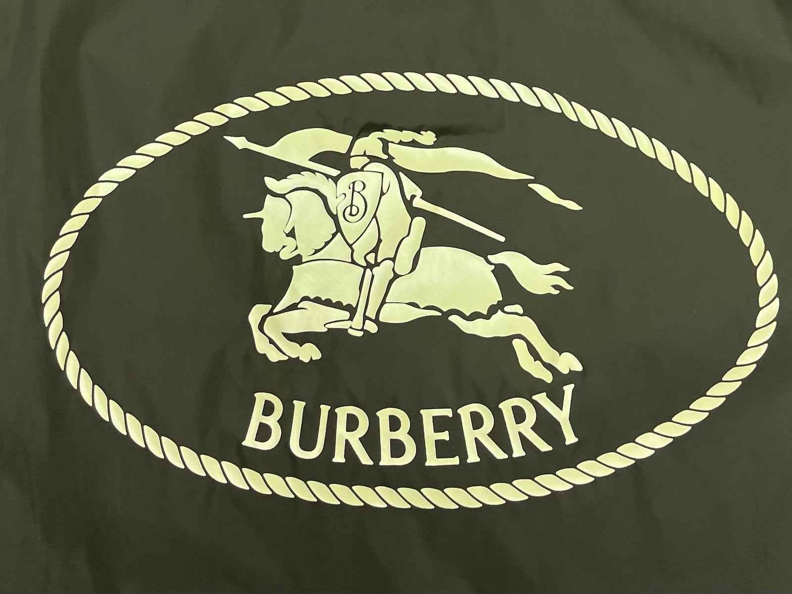 Burberry Green Light Jacket Newport