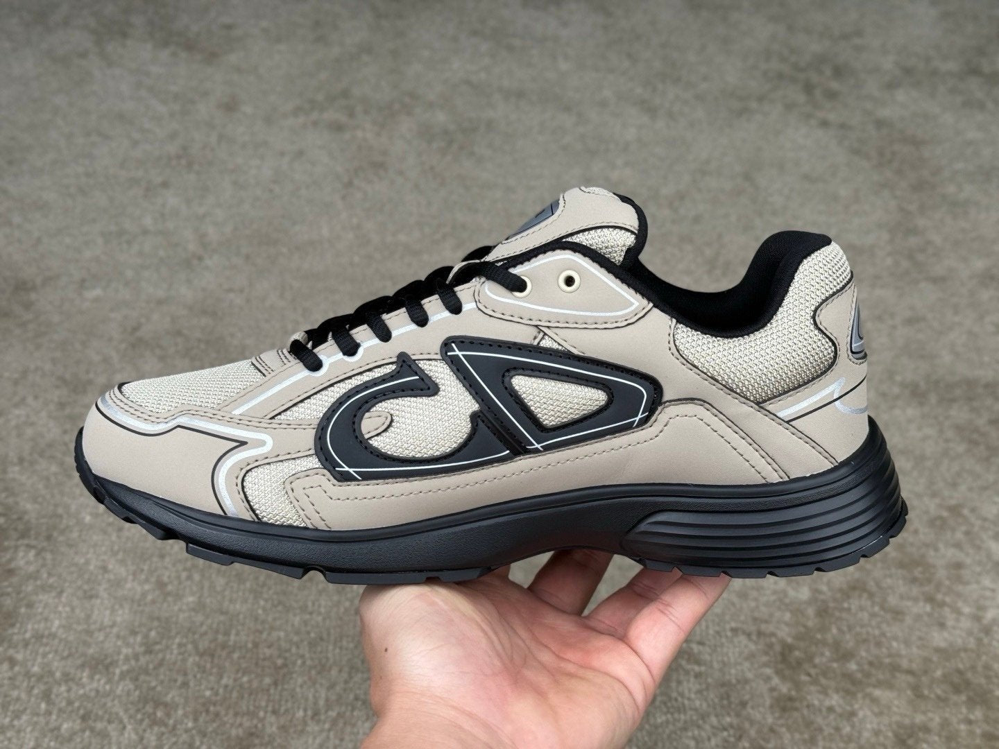 Dior B30 Reflective Beige/Black