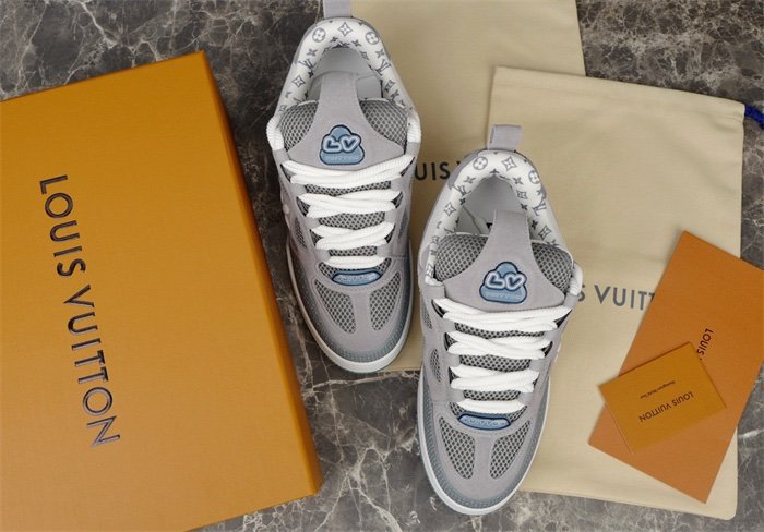 Louis Vuitton Skate Suede Grey White