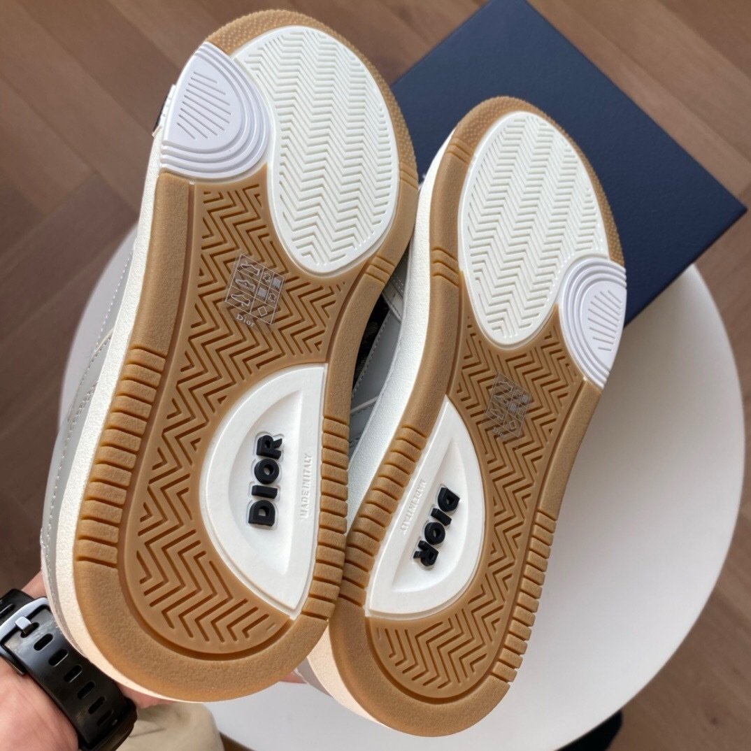 Dior B27 Low Oblique Grey/White