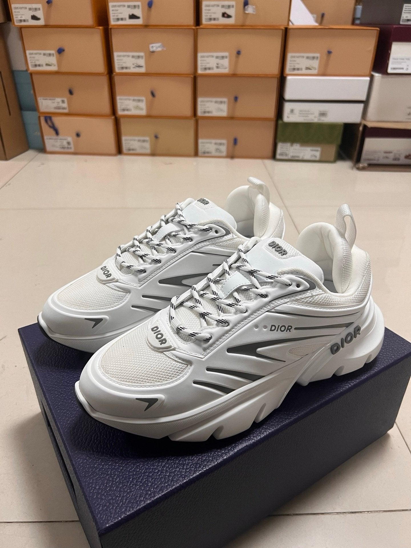 Dior B44 Blade White Grey