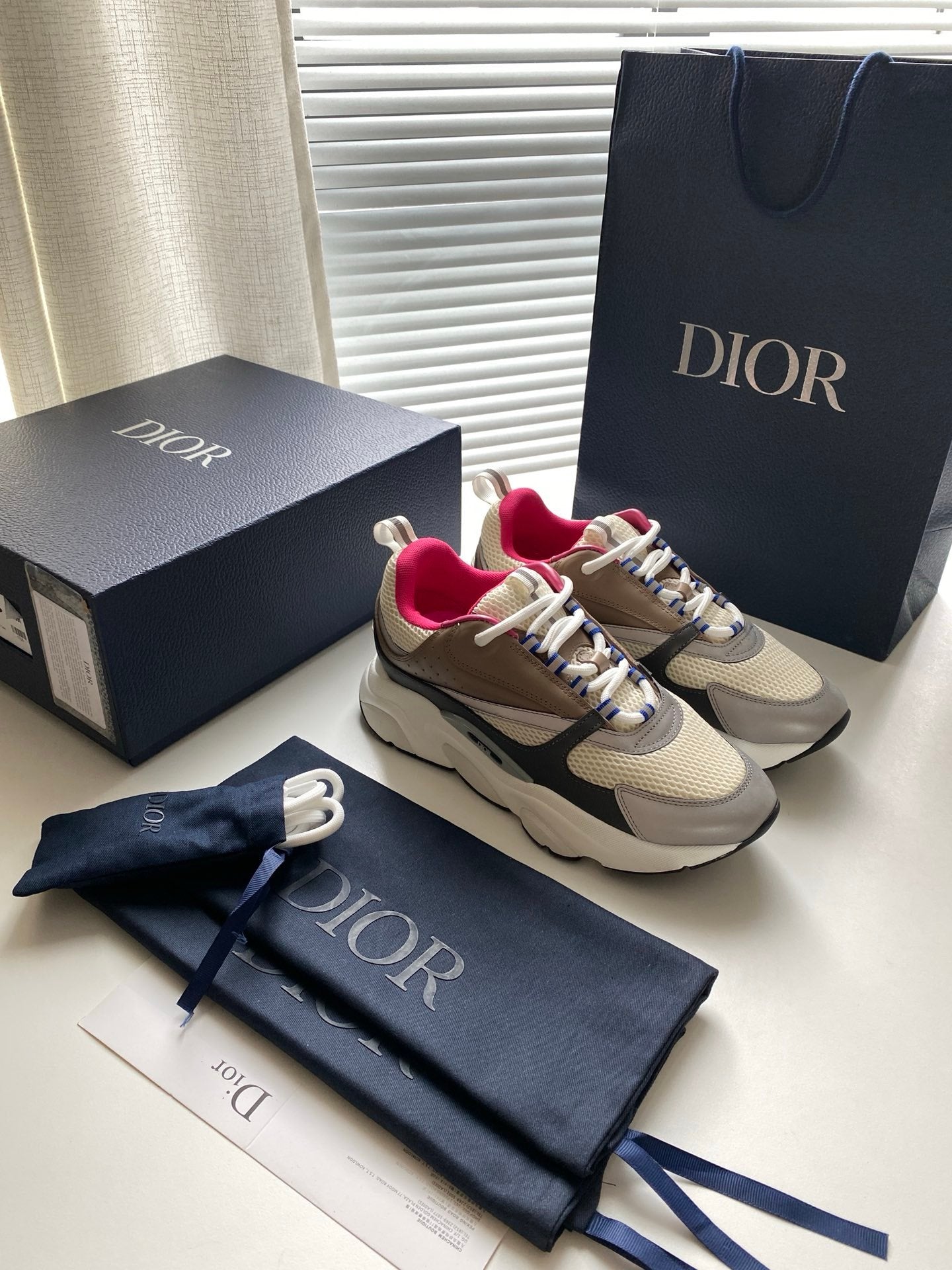 Dior B22 Beige Dark Grey