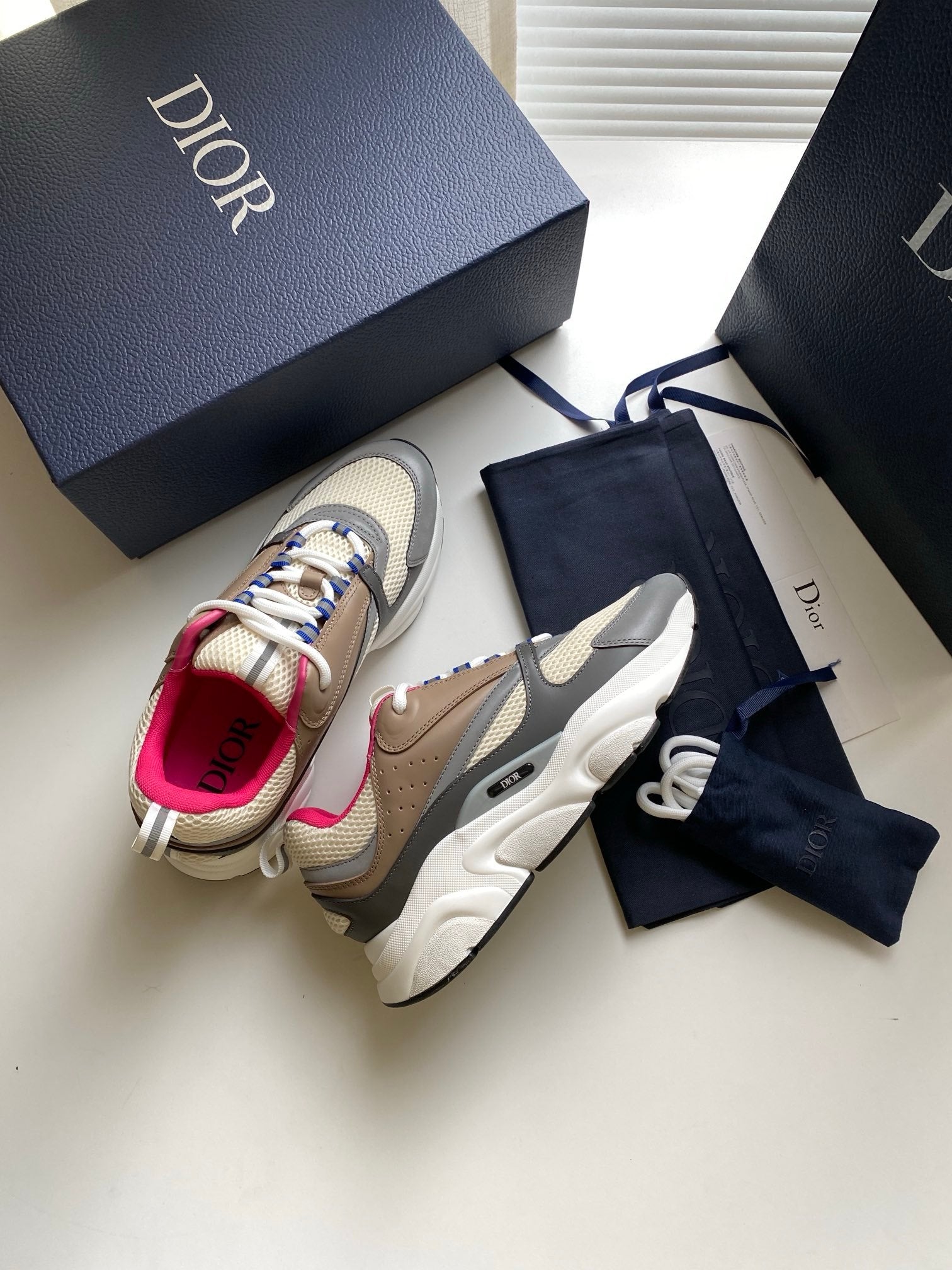 Dior B22 Beige Dark Grey