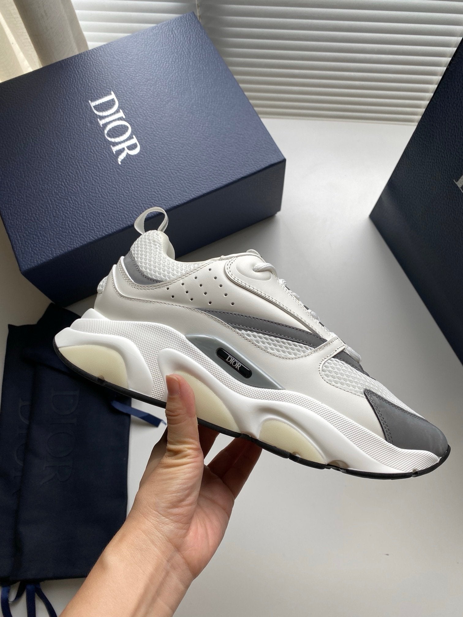 Dior B22 White Silver