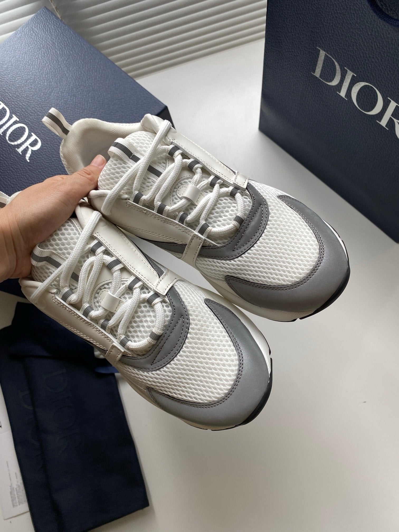 Dior B22 White Silver