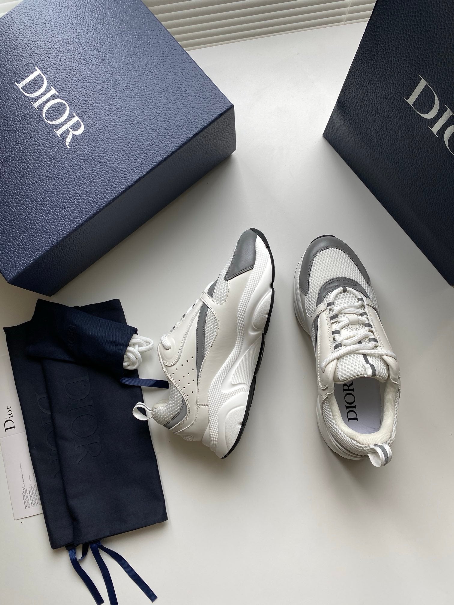 Dior B22 White Silver