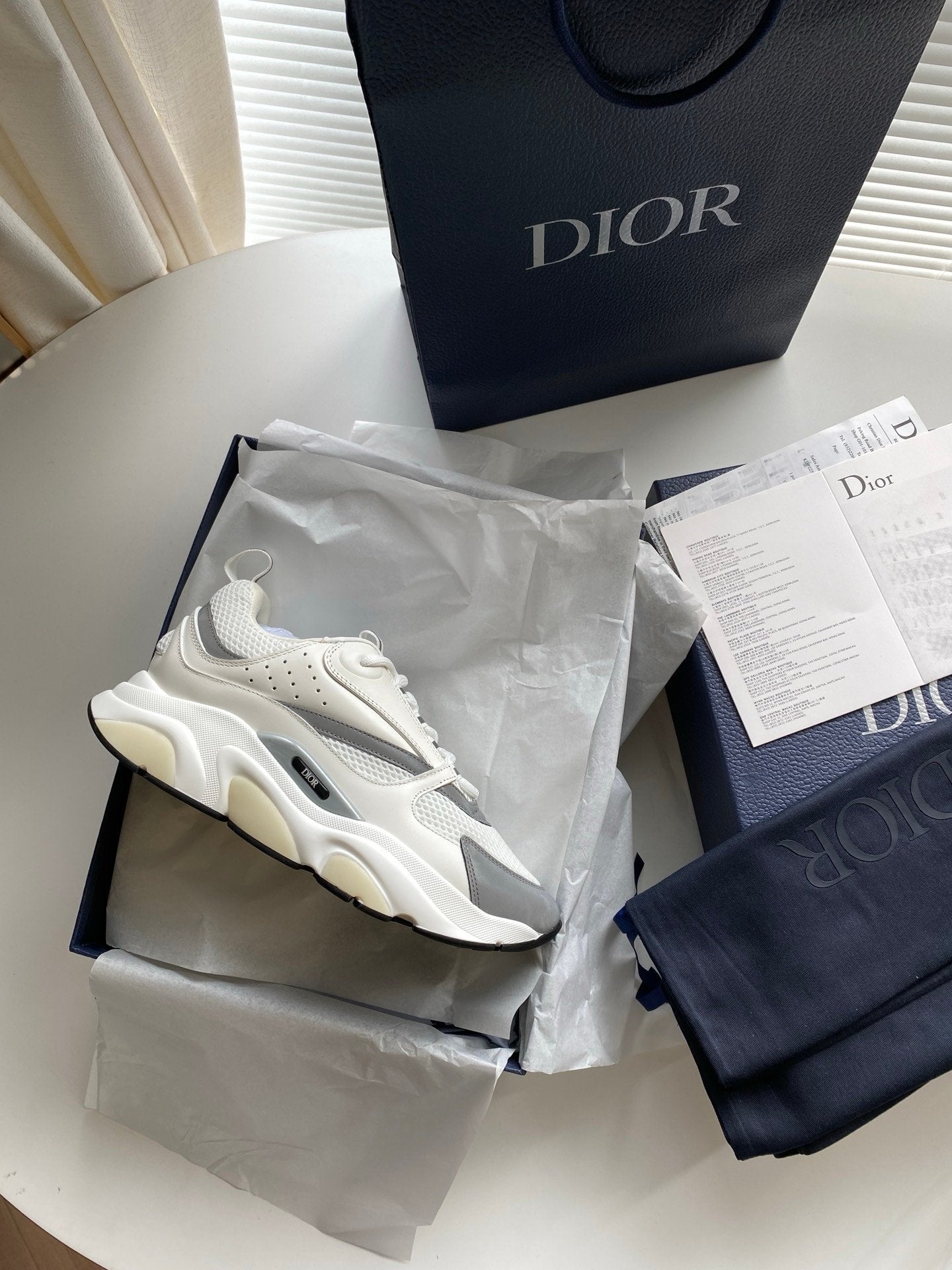 Dior B22 White Silver