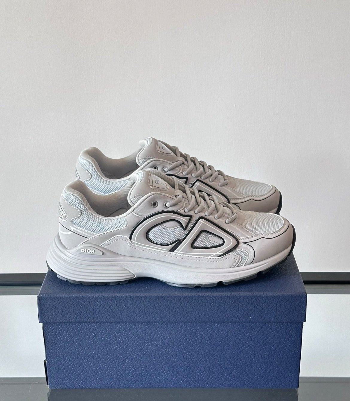 Dior B30 Reflective Grey
