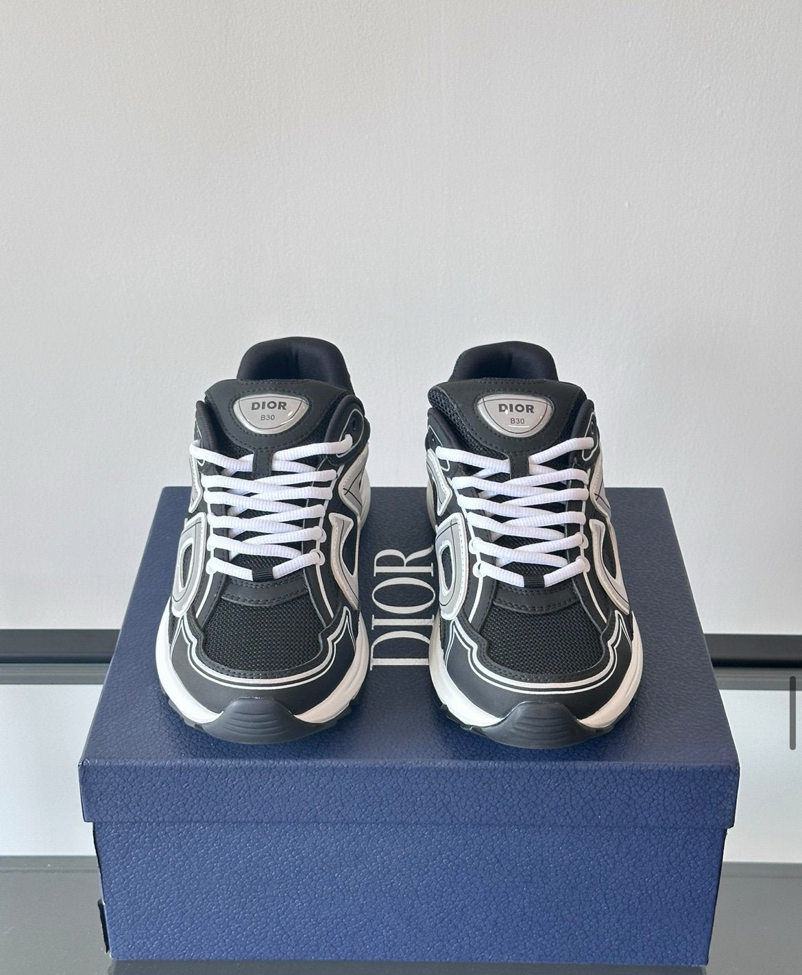 Dior B30 Reflective Black White