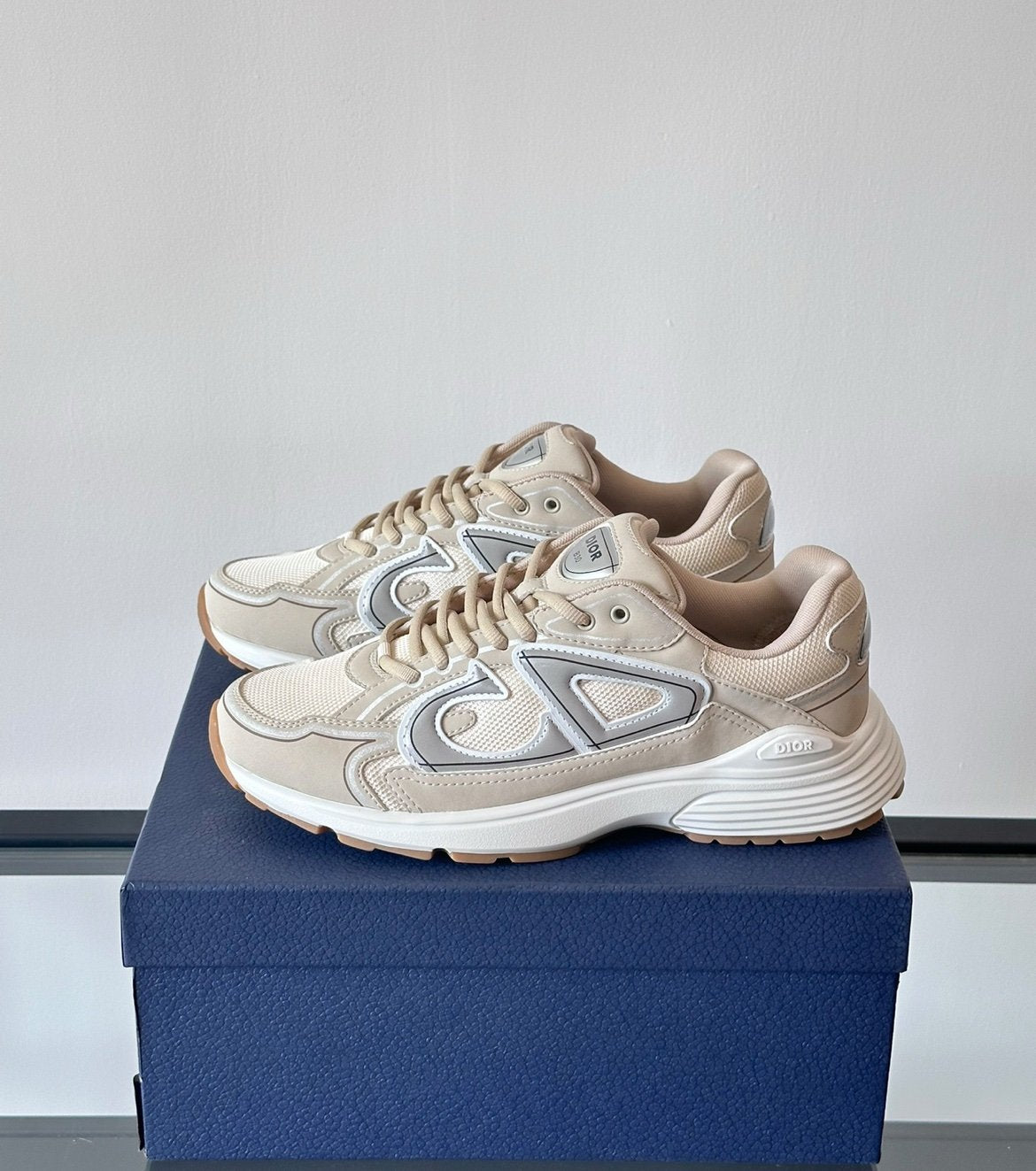 Dior B30 Reflective Beige White