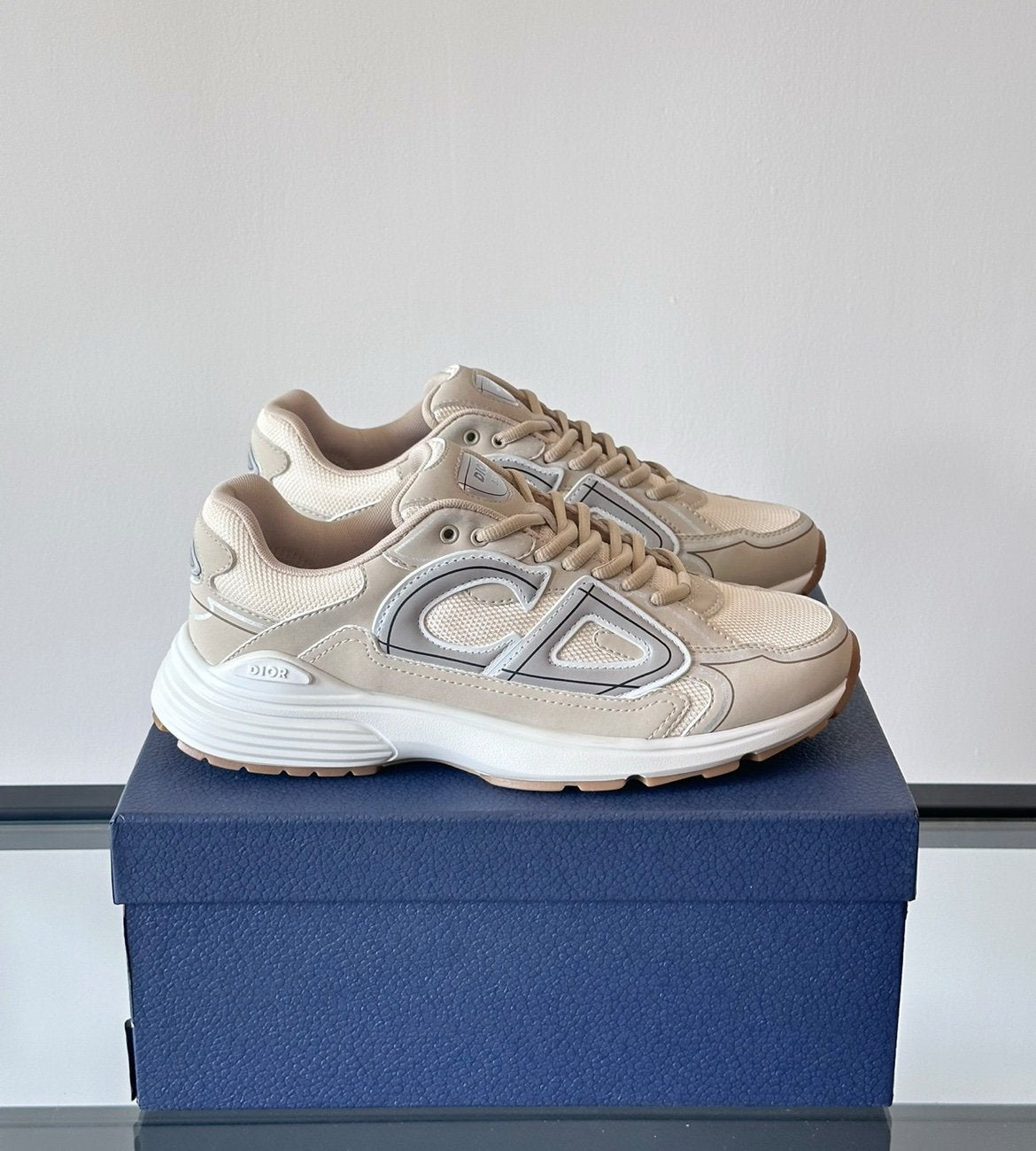 Dior B30 Reflective Beige White