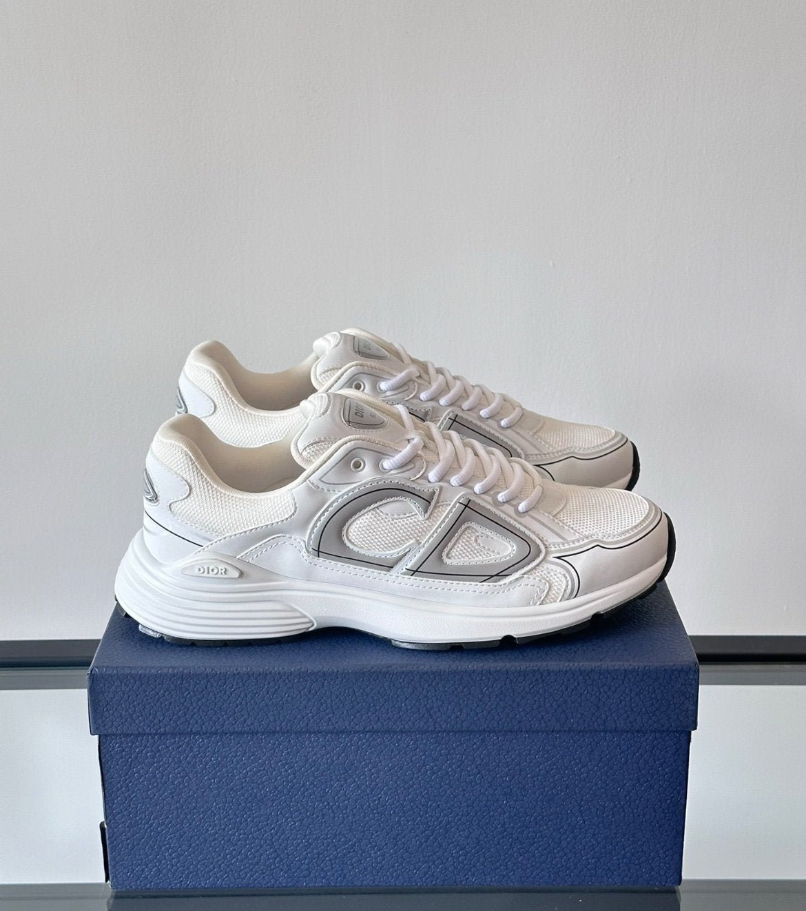 Dior B30 Reflective White