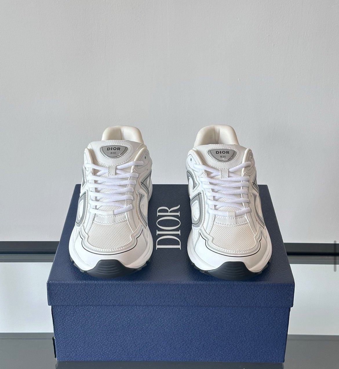Dior B30 Reflective White