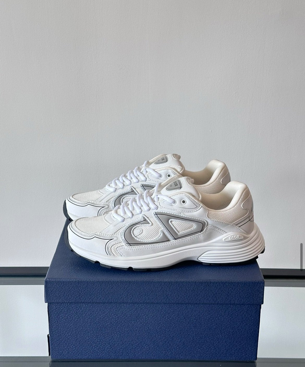 Dior B30 Reflective White