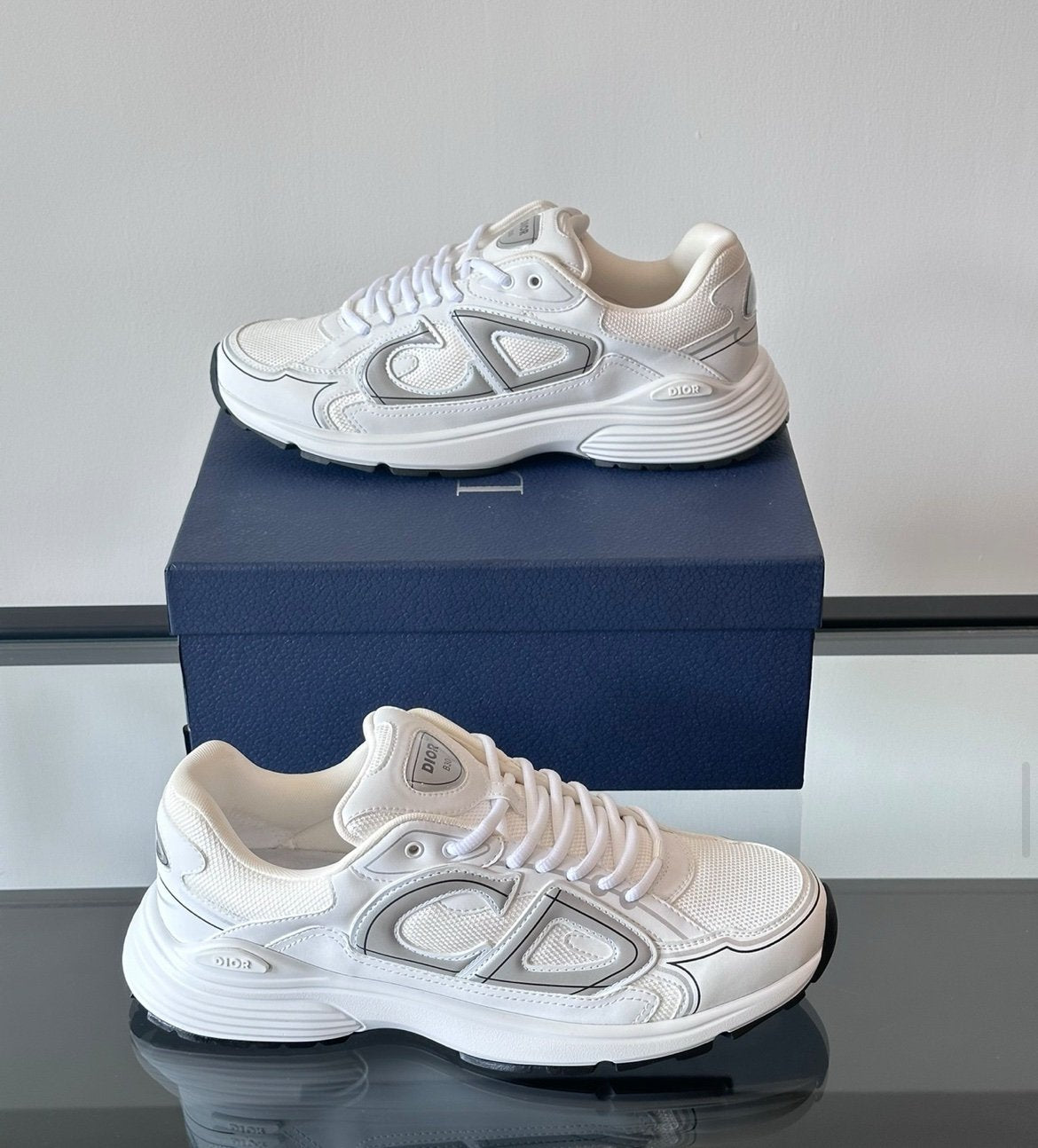 Dior B30 Reflective White