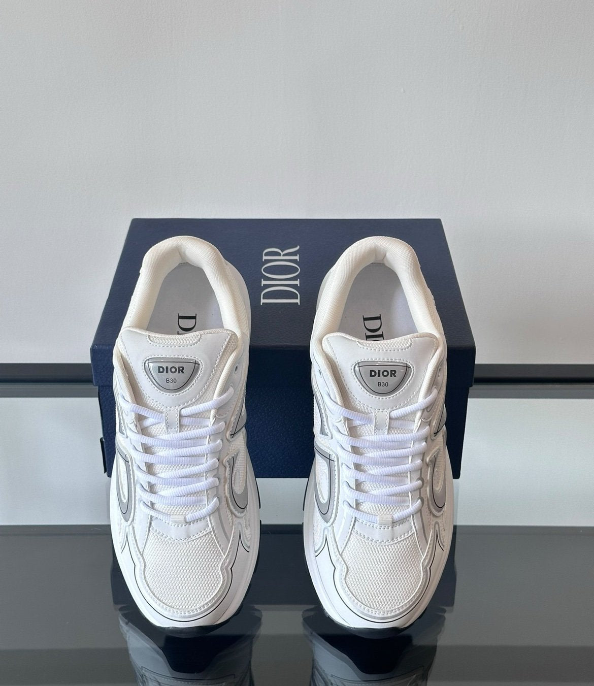 Dior B30 Reflective White