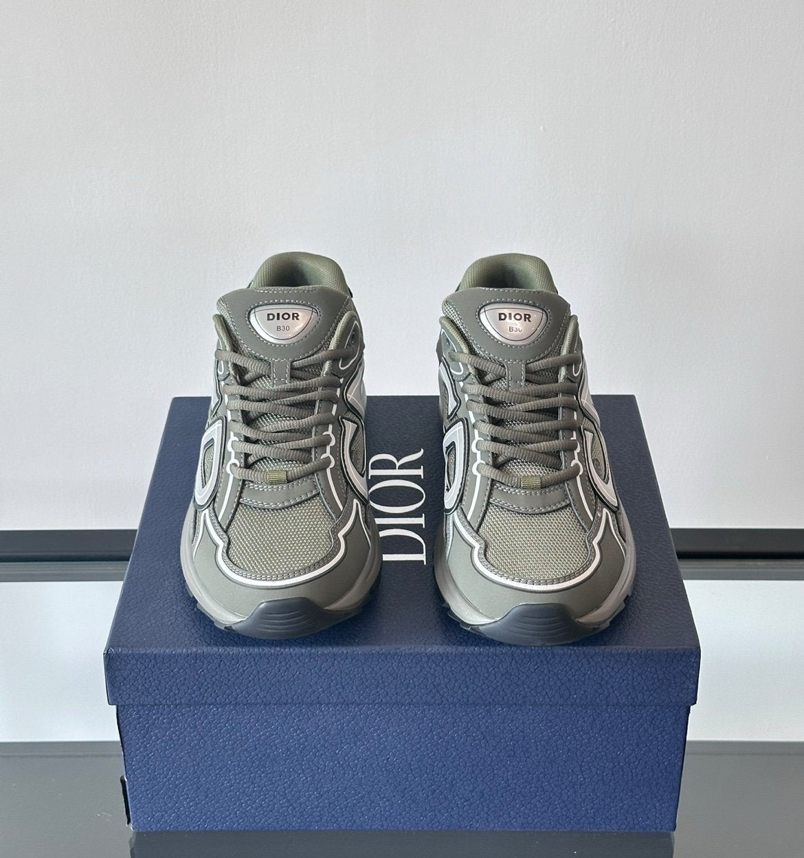 Dior B30 Reflective Olive Green