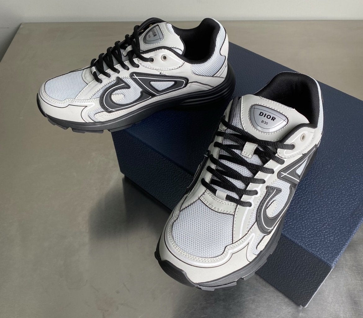 Dior B30 Reflective Grey/Black