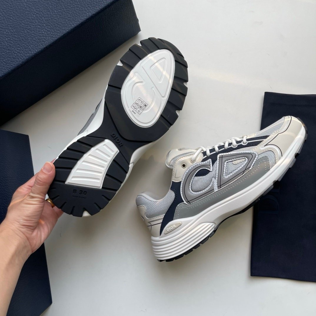 Dior B30 Reflective Grey/Blue