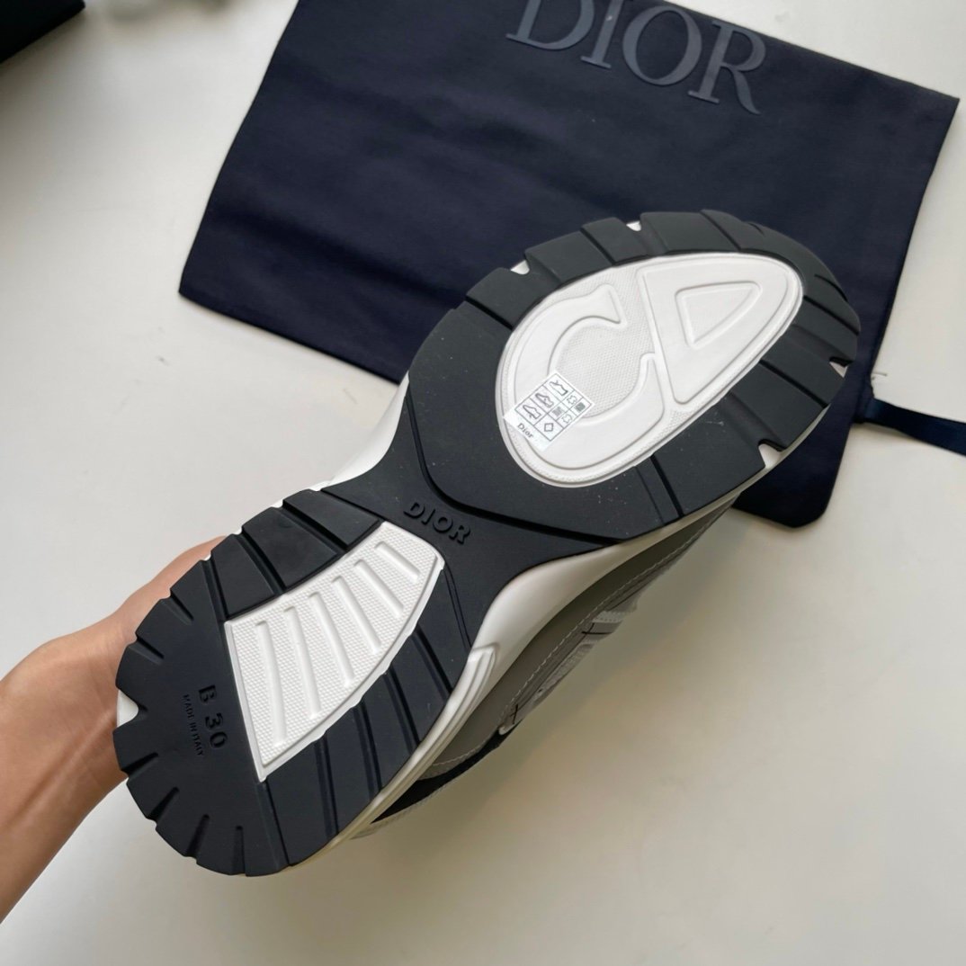 Dior B30 Reflective Grey/Blue