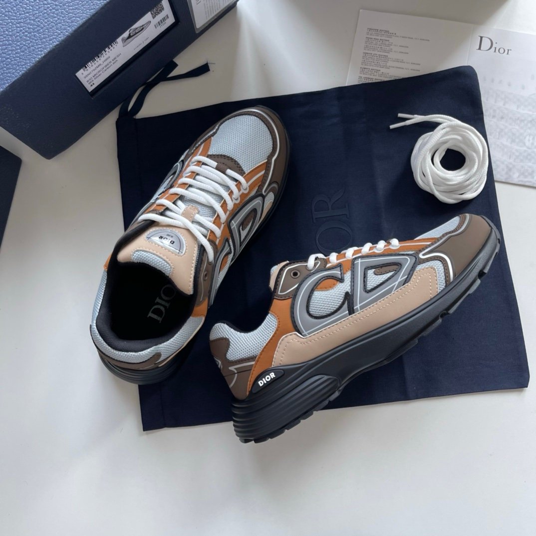 Dior B30 Reflective Brown Grey Black