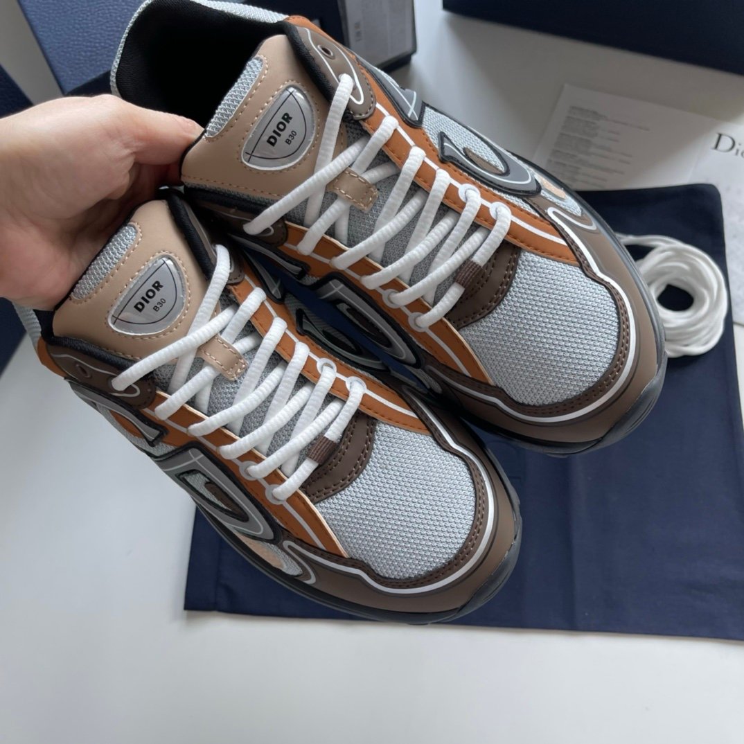 Dior B30 Reflective Brown Grey Black