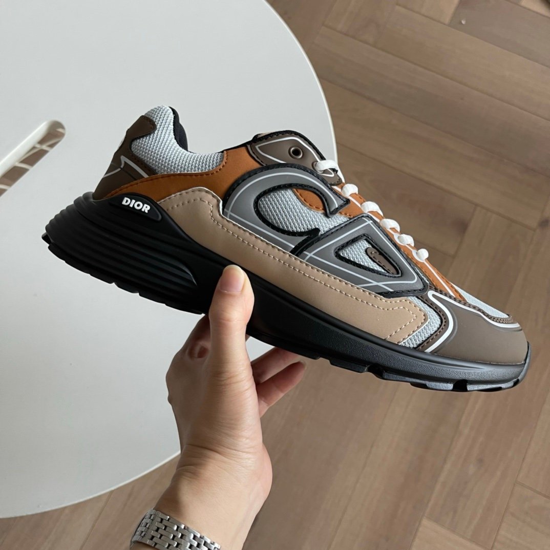 Dior B30 Reflective Brown Grey Black