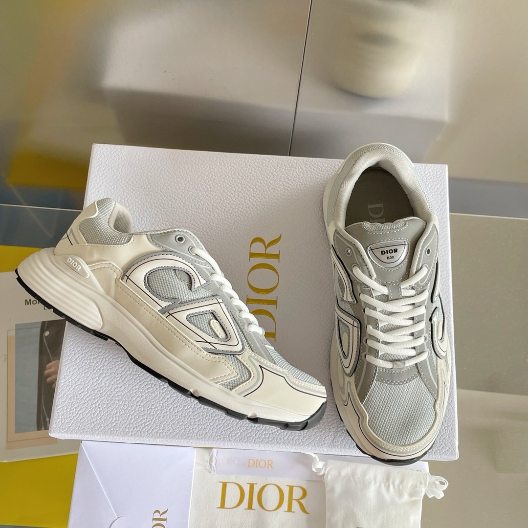 Dior B30 Reflective Grey/White
