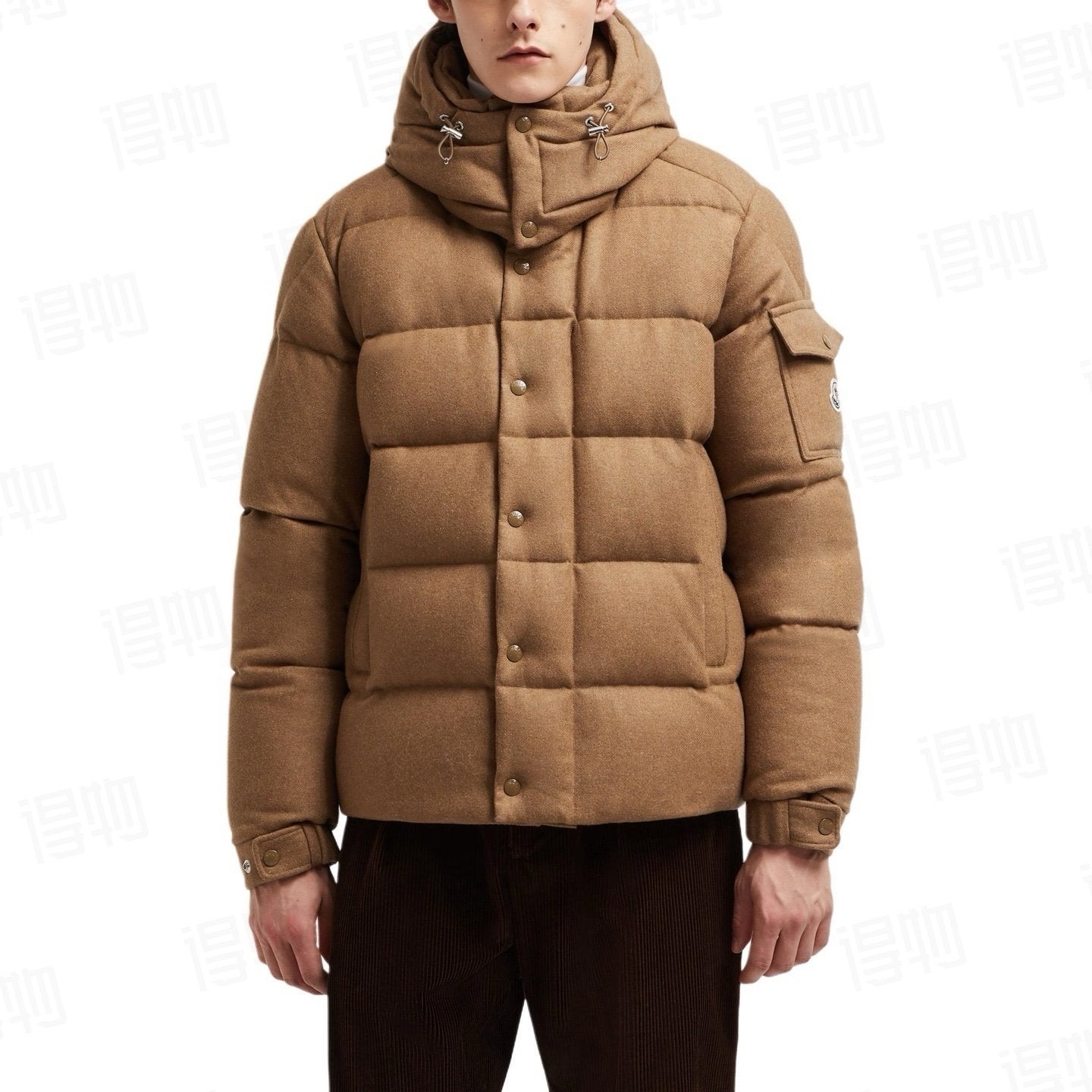 Moncler Vezere Down Jacket Beige