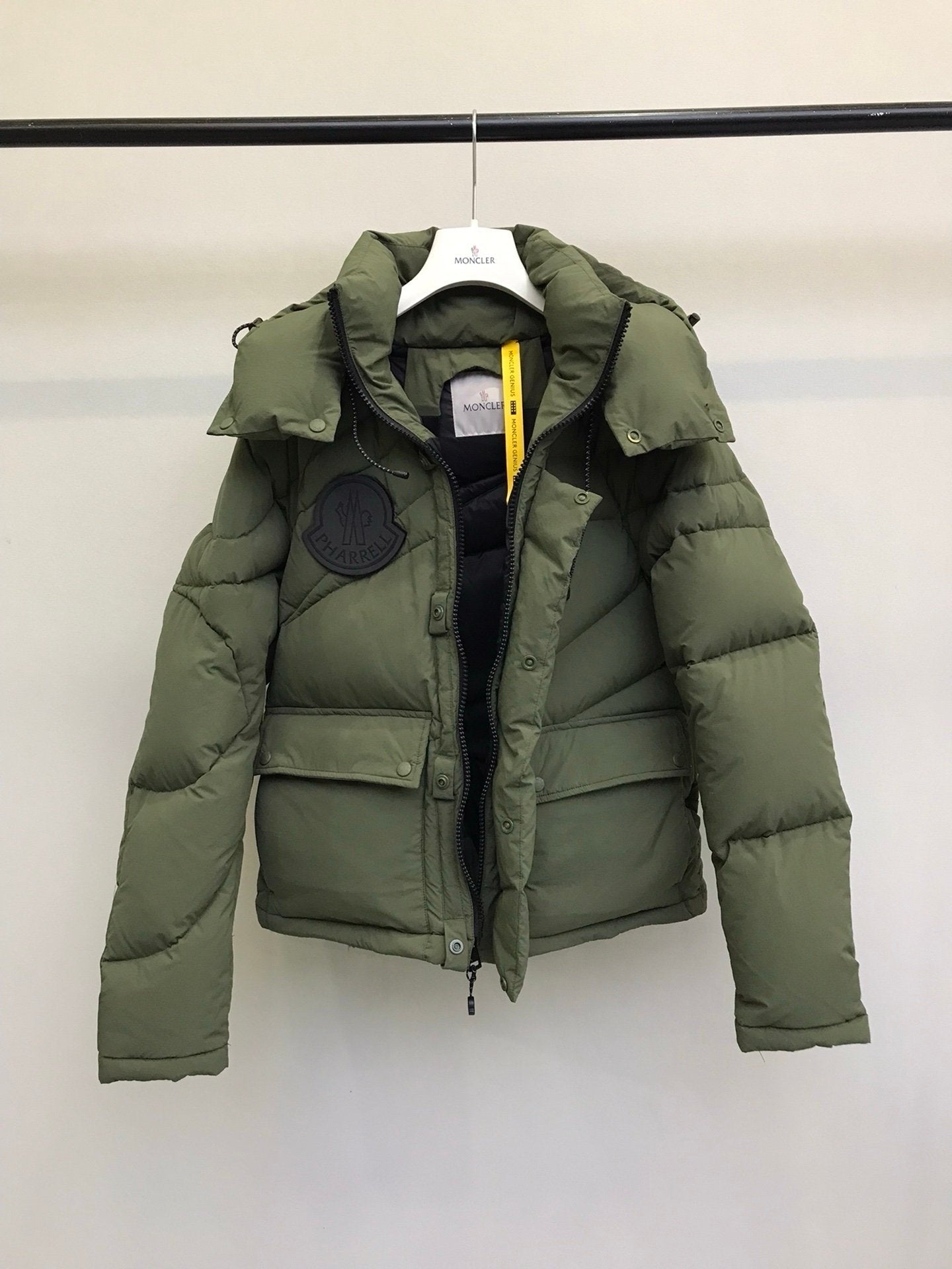 Moncler Genius Chestnut Green Down Jacket
