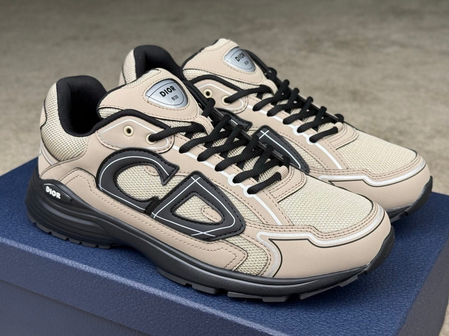 Dior B30 Reflective Beige/Black
