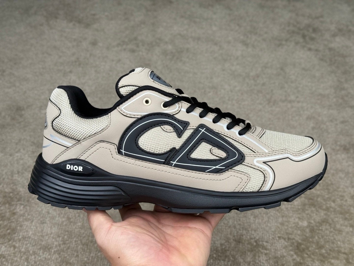 Dior B30 Reflective Beige/Black