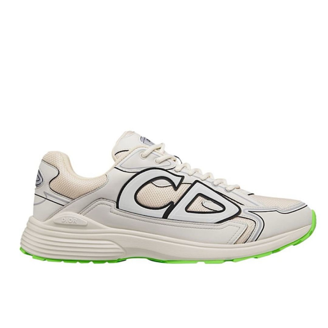 Dior B30 Reflective Beige Green